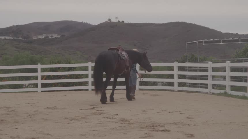 A person walks their horse