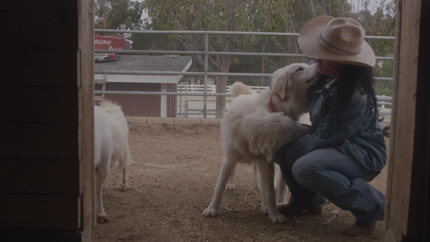 Woman wearing jeans and a cowboy hat petting two of her dogs on a sunlit farm at midday a railing fence frames the scene as a goat casually walks by in the background