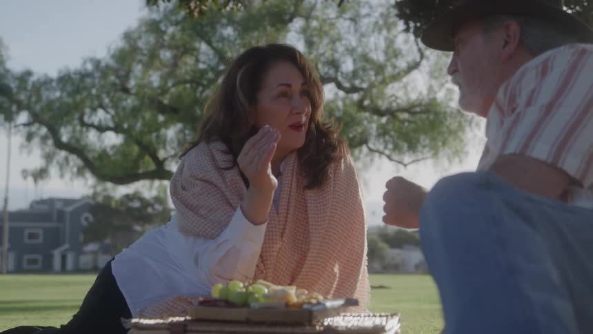 Woman talking with a man during a picnic under the shade of trees