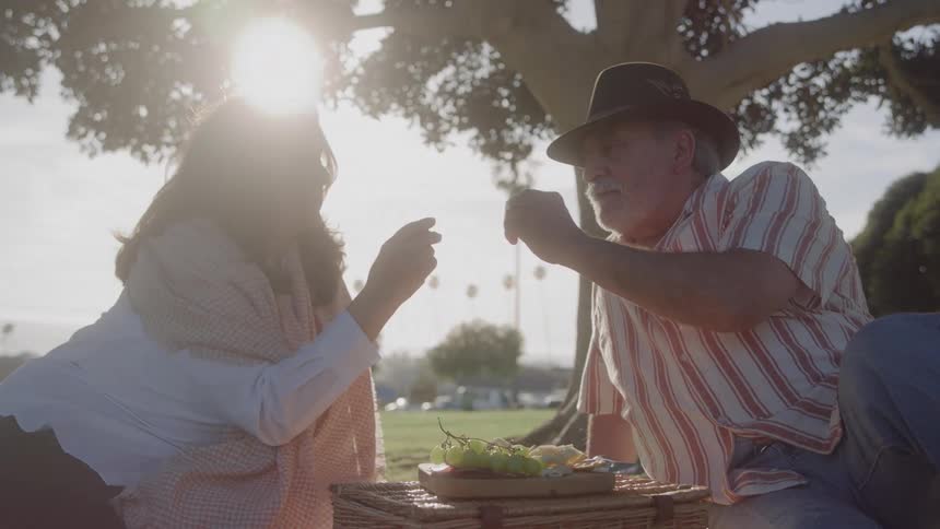 Two people sit on a blanket and the man picks up a grape and feeds it to the other person