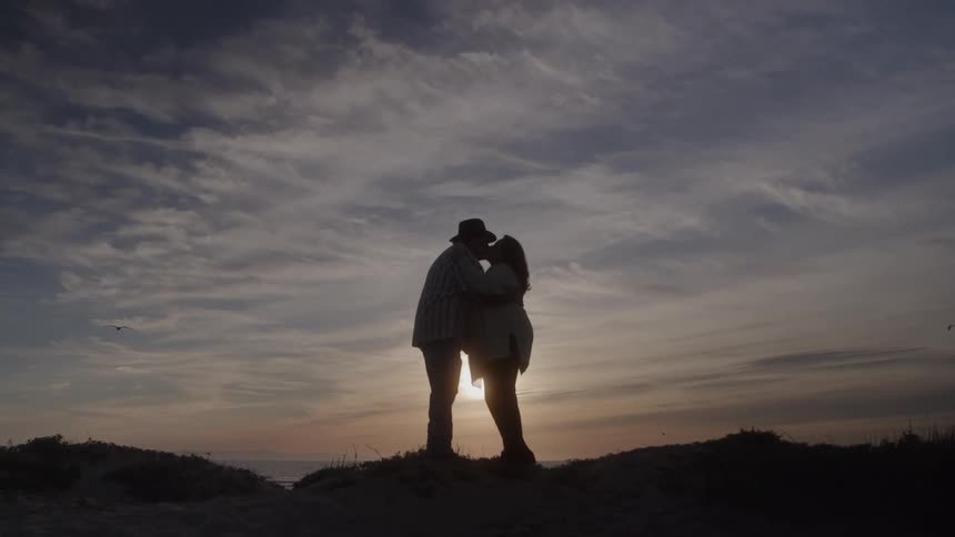 A man and a woman stand on a hill and embrace with the sun and the ocean behind them while a bird flies across the sky