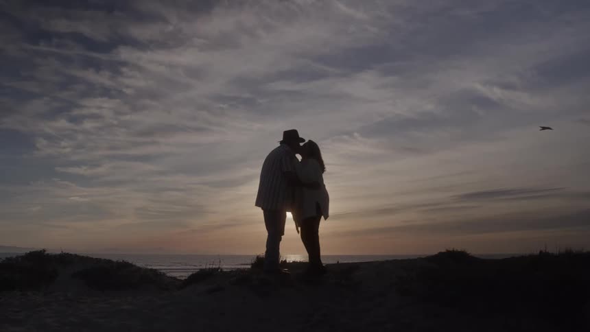 A man and a woman stand on a hill and embrace with the sun and the ocean behind them while a bird flies across the sky