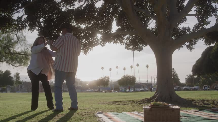 Couple dancing under a tree while having a picnic at the park