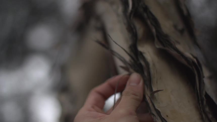 A person moving their hand across something
