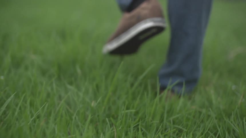 Person walking through green grass
