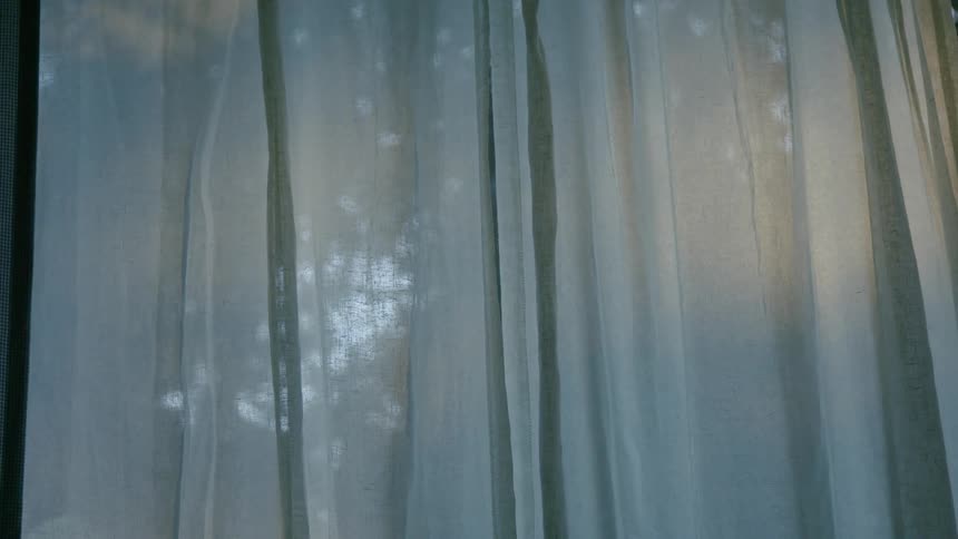 Soft sunlight filters through curtains in a room