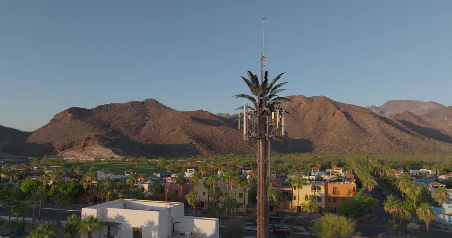 A tropical town