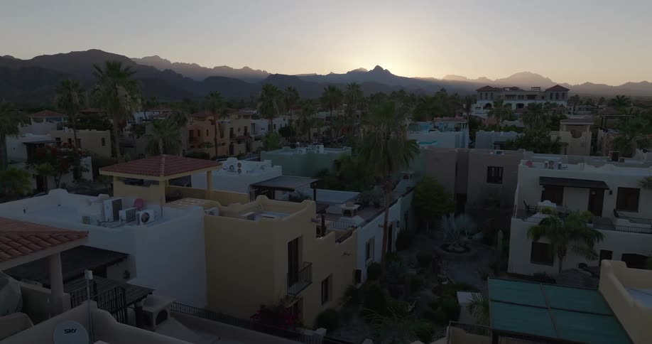 A large city with palm trees