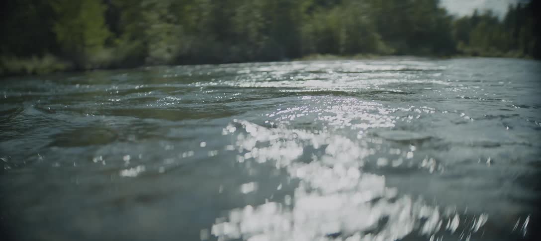 A river with gentle ripples flows past a lush green forest
