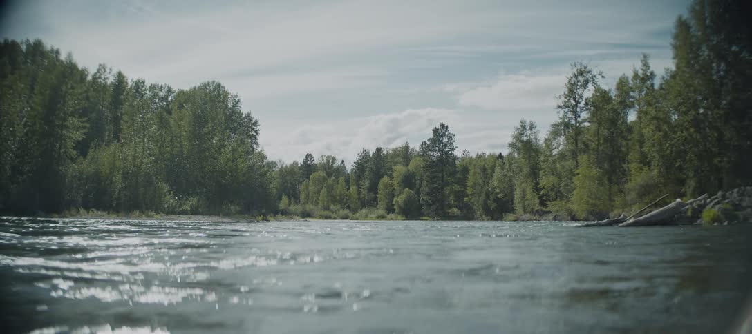 A river flows past a green forest under a cloudy sky