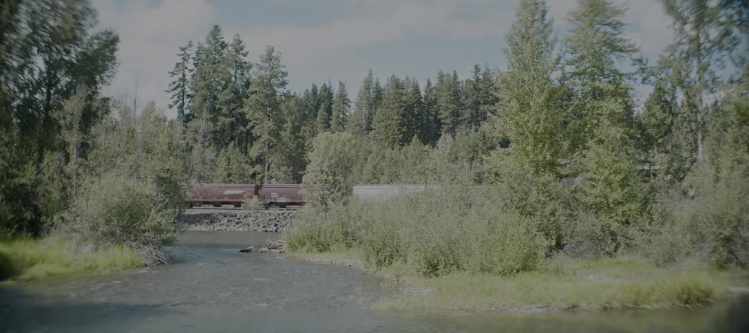 A cargo train passes over a river in the woods