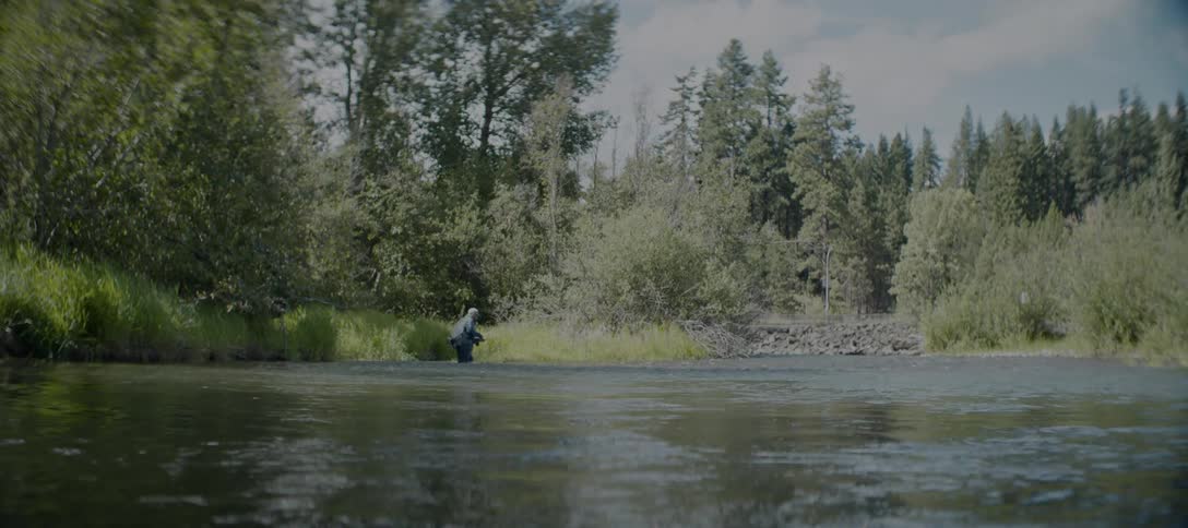 A person wades in a river surrounded by trees and greenery