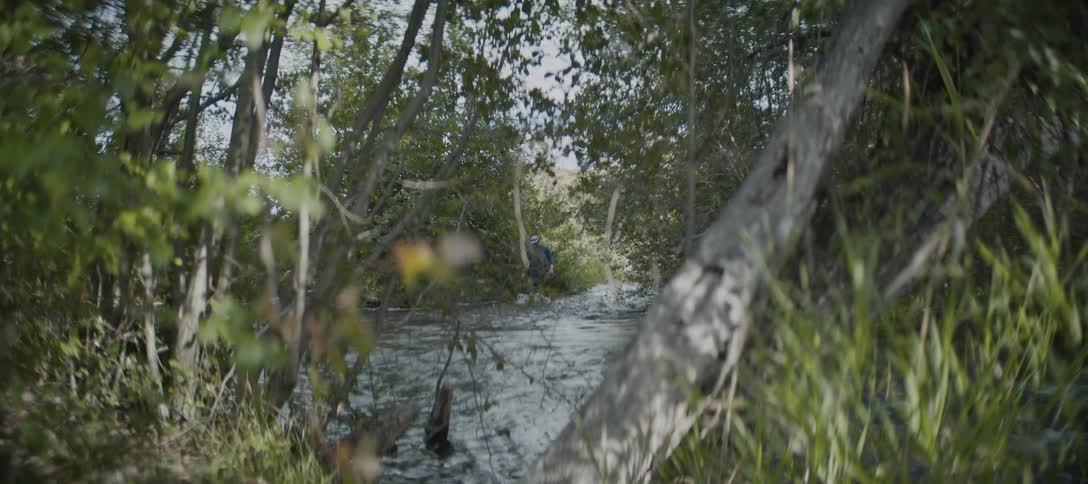 A wide view of a narrow forest creek framed by dense foliage and trees shows a man in dark clothes walking away into the distance through the flowing water