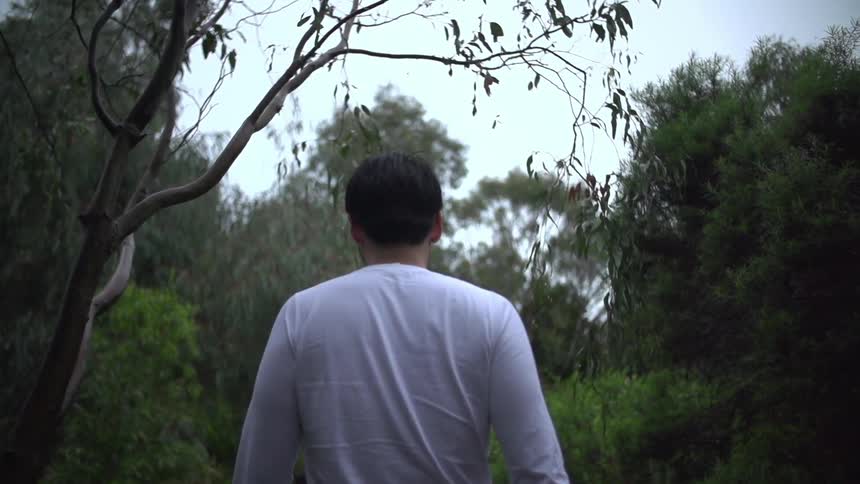 Man walking in the forest under a cloudy sky