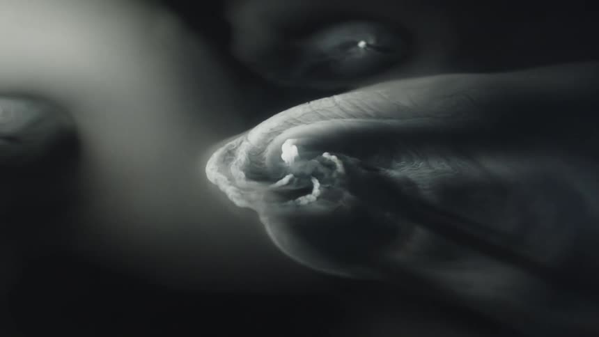 A vessel spouting small columns of white smoke moves under a thin layer of white smoke