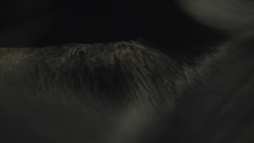 Dark fur with light strands reveals dense texture under soft lighting and pronounced shadows