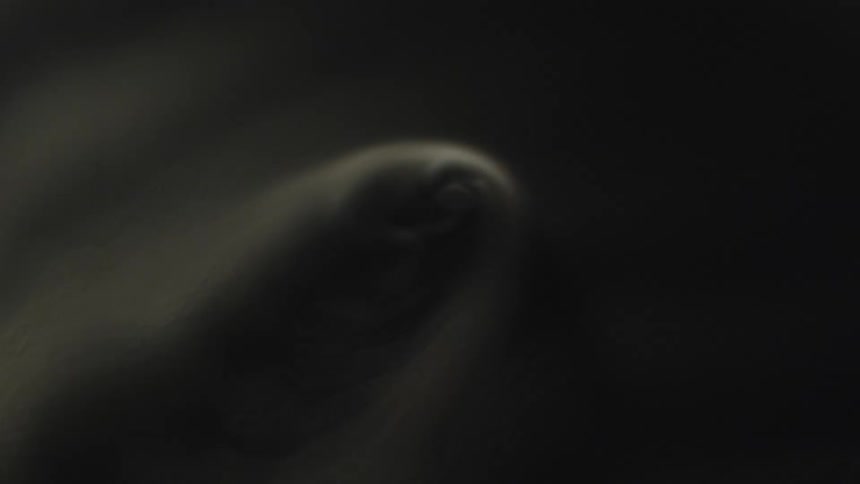 A wispy white smoke ring floats in the air against a dark background slowly dissipating as it moves the smoke continues to swirl and drift with additional plumes of smoke entering the frame from the sides