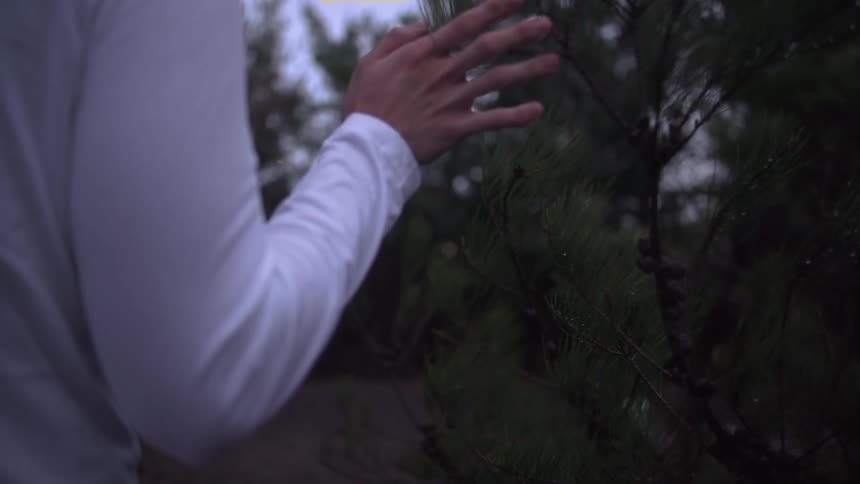 Person traces hand across some branches