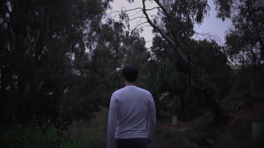 Man walks a path surrounded by trees