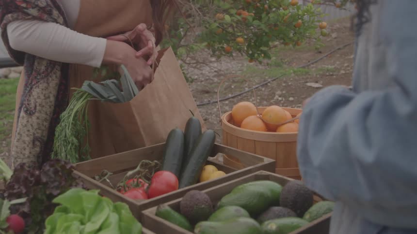 Two people interact at outdoor market with paper bag full of vegetables and wooden crates filled with produce