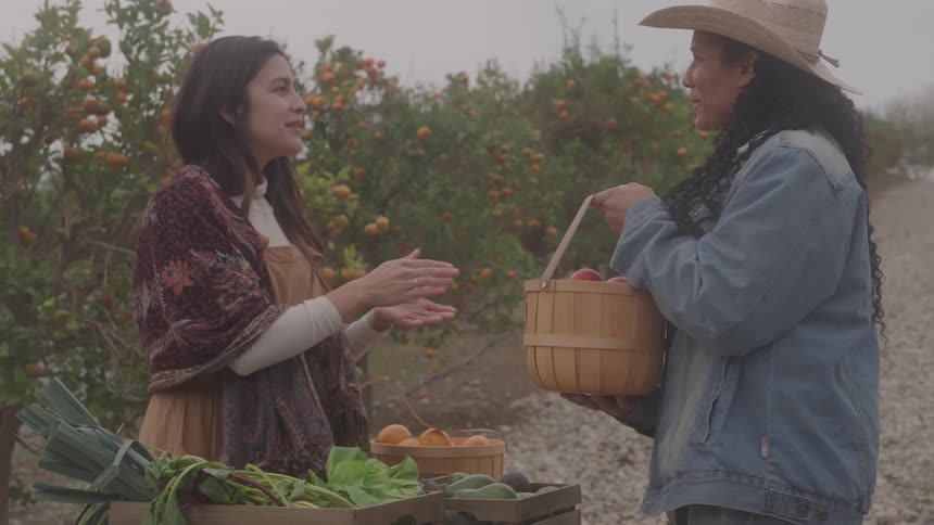 Two people smiling and shaking hands in a fruitfilled orchard