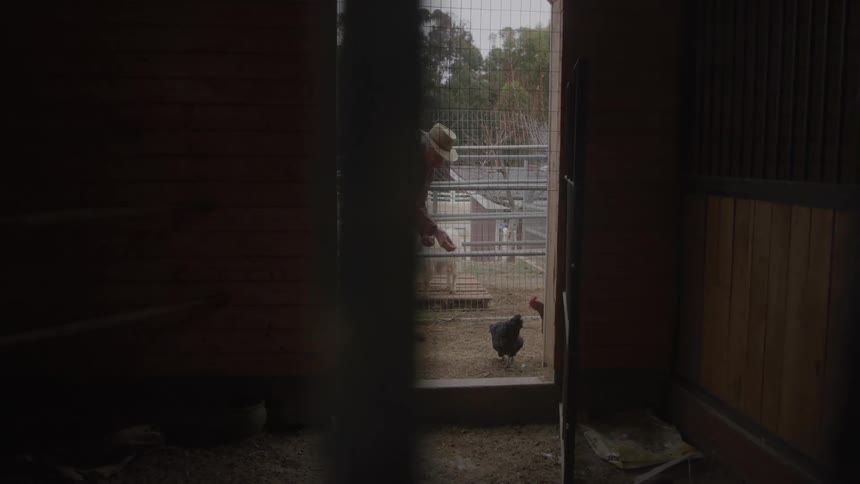 Man wearing a straw hat feeding animals in a fenced farm area