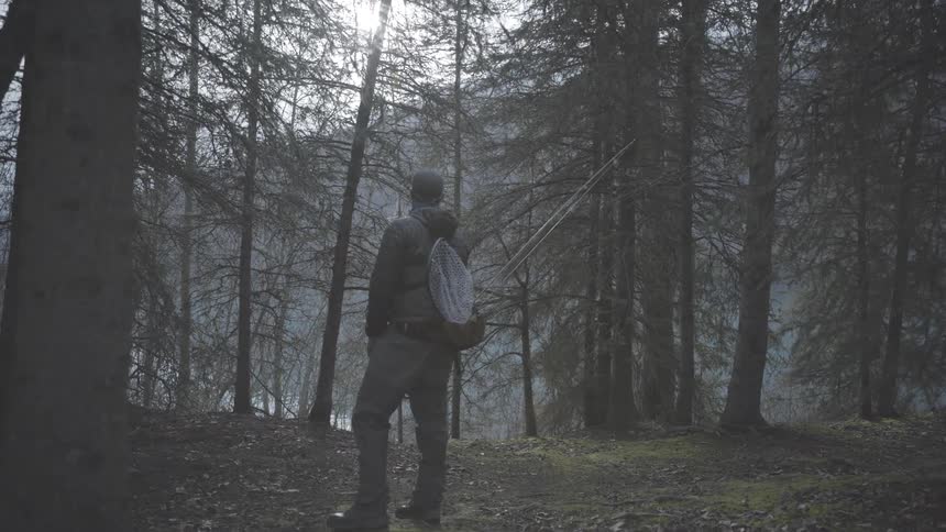 Person with fishing gear walks among trees in a forest lit by soft light
