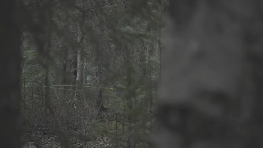 Fisherman walks through the woods carrying a fishing pole on an autumn day