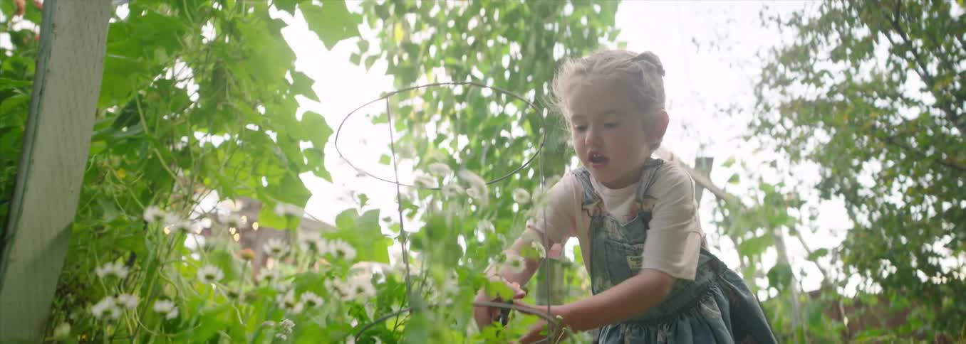 Child exploring a blooming garden at sunset