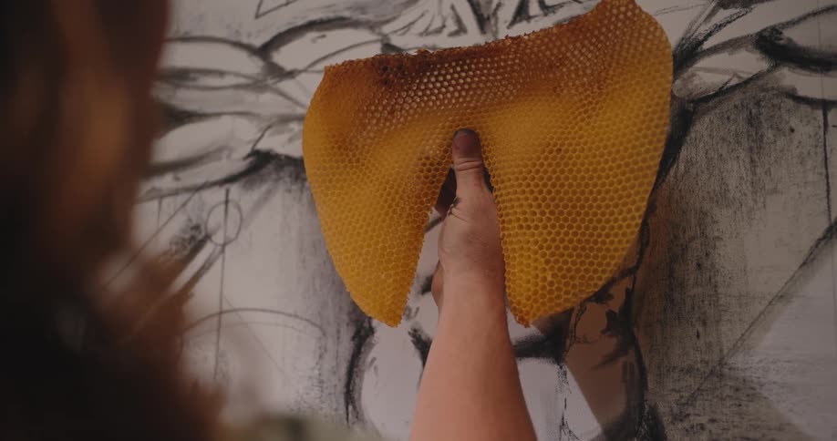 Hand holds a honeycomb in front of a black and white drawing on the wall