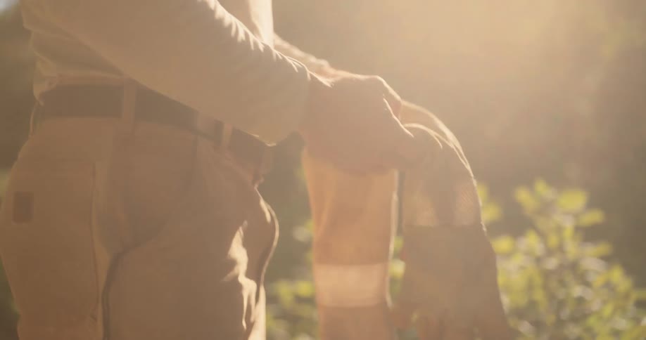 A persons hands reaching into a wooden tool caddy to retrieve and put on a pair of gloves while standing in a sunny outdoor environment