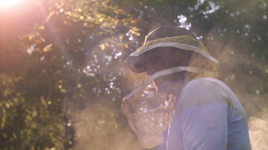 The beekeeper is surrounded by smoke