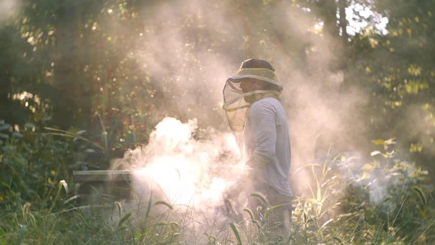 A beekeeper in a lightcolored longsleeve shirt and a protective hood uses a smoker on a beehive box amidst a cloud of white smoke and tall grass as sunlight filters through trees