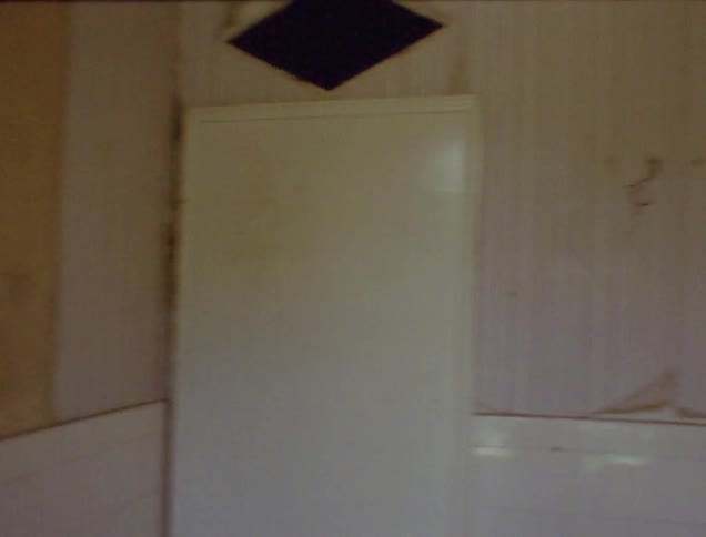 Wallpaper is peeling off the walls in a rundown home