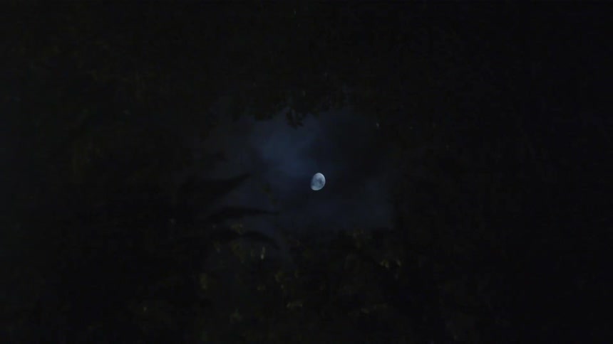 Clouds pass over the moon