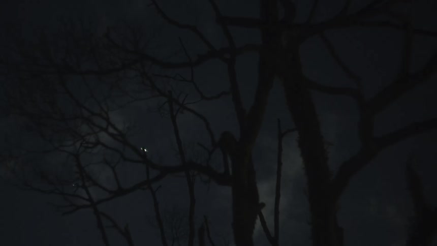 A helicopter flies beyond some trees