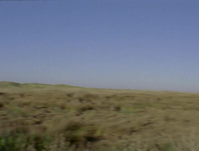 A rural lake is shown in the distance