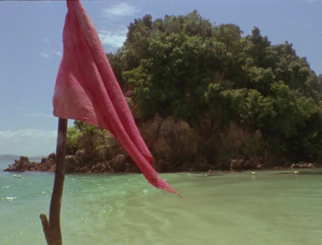 A pink flag on a stick on the beach