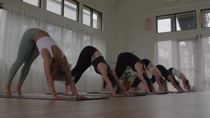 Practitioners perform a variation of downwardfacing dog with one leg raised during a yoga class
