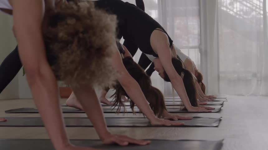 Group holds downwardfacing dog pose in a row on mats
