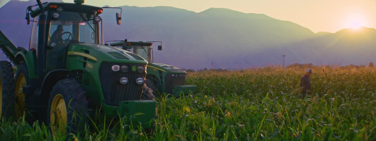 Farmers work in a cornfield at sunrise with two tractors operating nearby