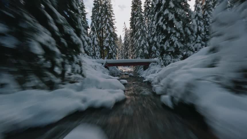 River current flows between snowcovered trees in a winter landscape