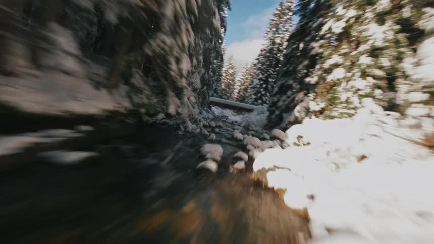 Path between snowcovered trees runs along a frozen stream