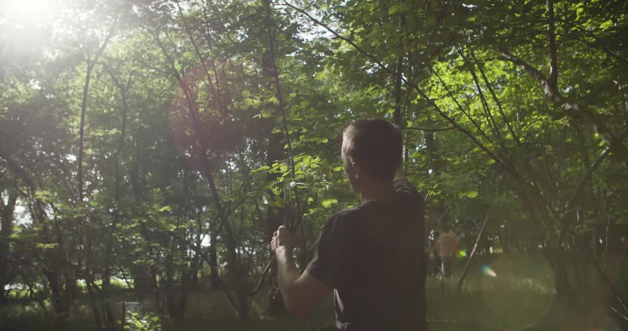 Man collecting dry branches in a sunlit forest area