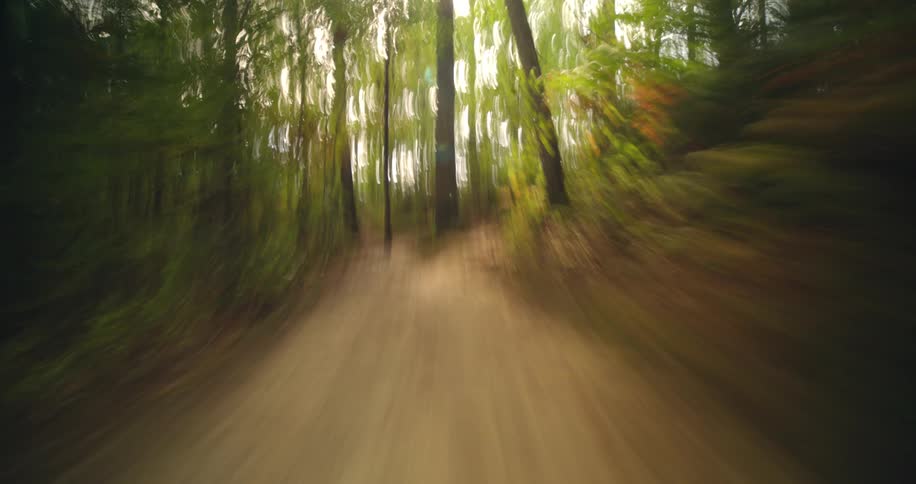 Quickly moving through a forest