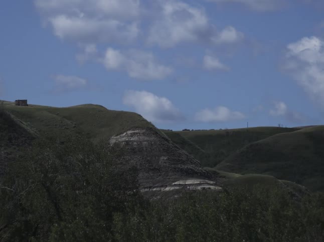 A rocky hillside field with grass and trees