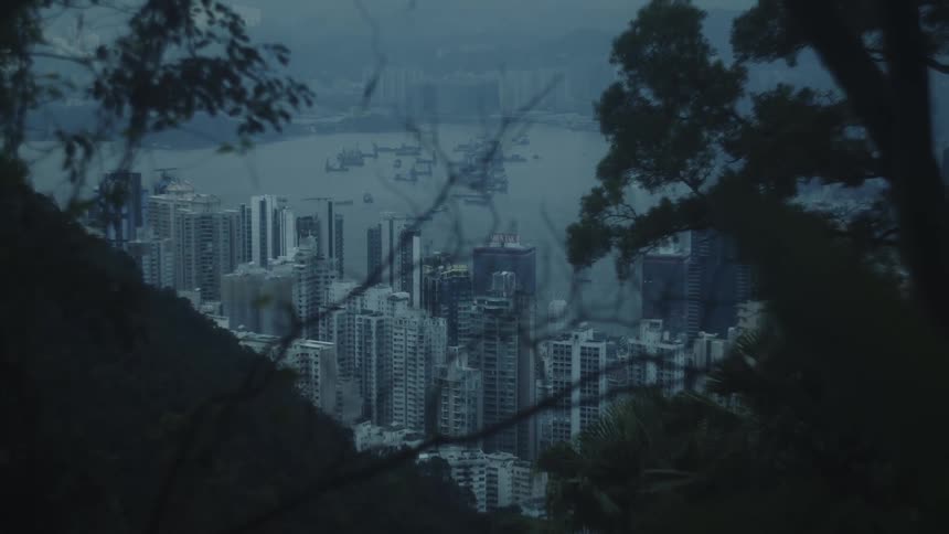 Mountain slope overlooks a harbor city on a foggy day