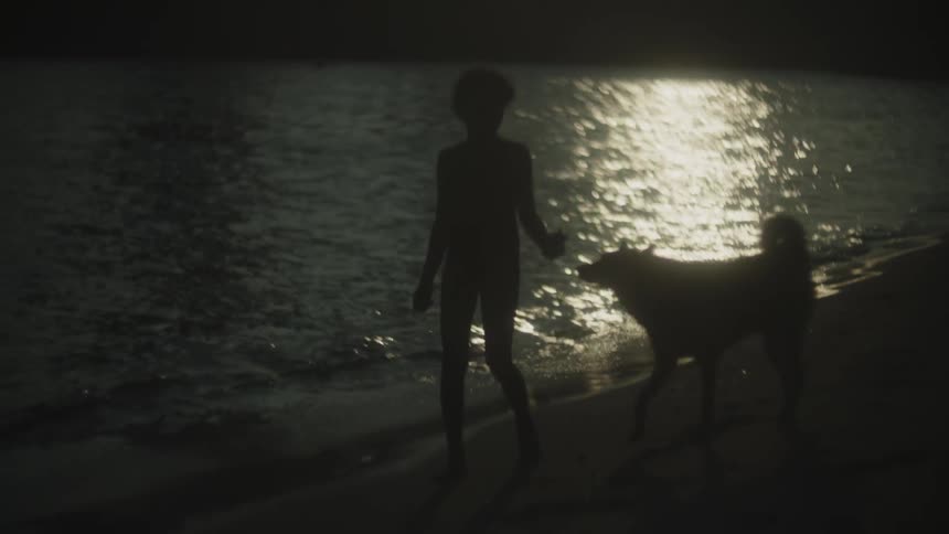 Girl walks along the beach with her pet dog at night while the water reflects the bright moonlight