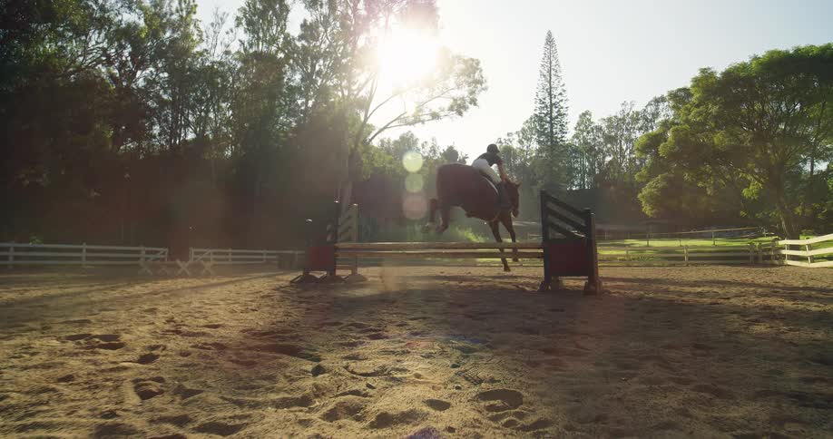 The woman does a jump with her horse