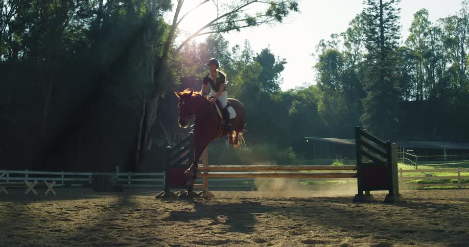 A horseback rider and her horse successfully jump a wooden barrier in a sunlit dusty outdoor arena surrounded by trees